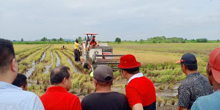 Bupati Basel H. Riza Herdavid Beserta OPD Tinjau Areal Pesawahan di Desa Rias
