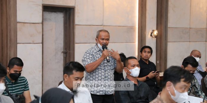 Pemprov Kep. Babel Bentuk Satgas Tambang Timah Ilegal