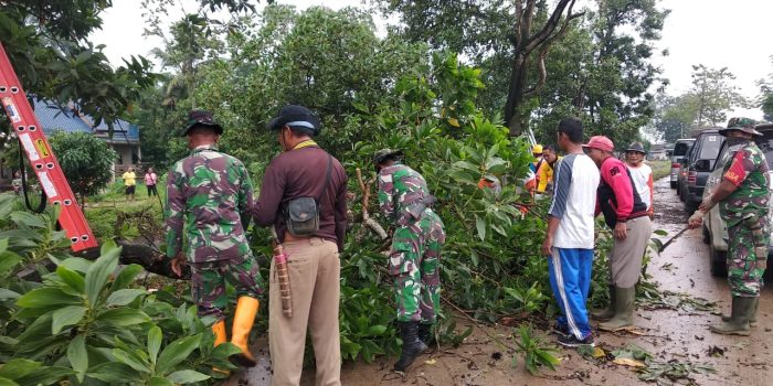 Babinsa 42911/ Sekampung Bersama Bhabinkamtibmas Serta Warga Bersihkan Perantingan Pohon Tumbang