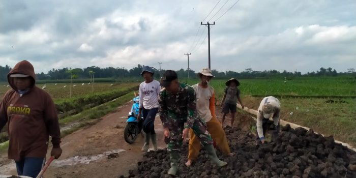 Peduli Lingkungan, Babinsa Koramil Way Bungur Bersama Masyarakat Perbaiki Jalan Rusak