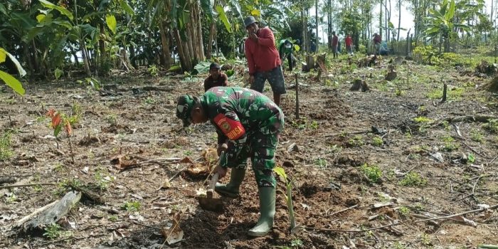 Dukung Akses Pertanian, Babinsa Way Jepara Bersama Warga Buka JUT