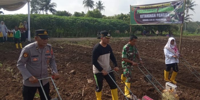 Koramil 07/Pekalongan Bersinergi dengan Instansi Terkait Dukung Ketahanan Pangan