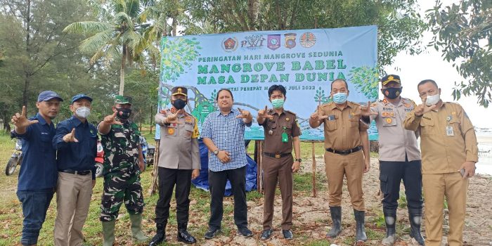 PWI Babel Bersama BPDAS Tanam Bibit  Mangrove, Peringati Hari Manggrave Sedunia