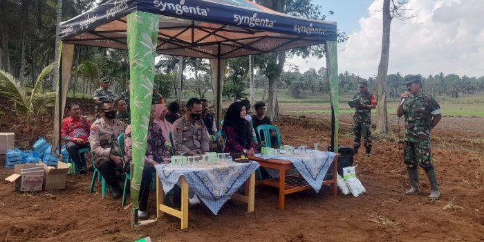 Launching Ketahanan Pangan Koramil 14/Jabung Dihadiri Forkopimcam