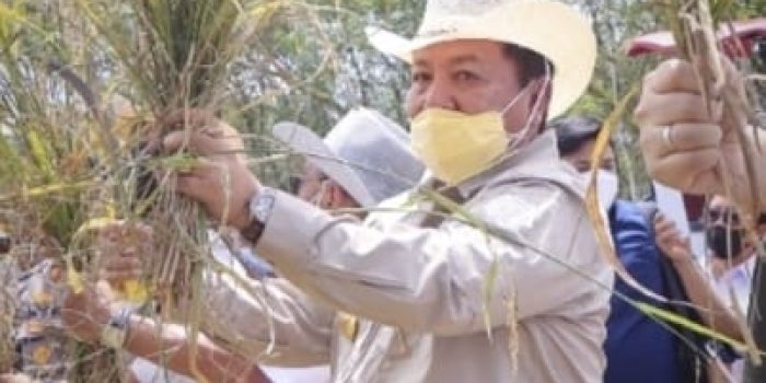 Gubernur Lampung Arinal Djunaidi Kembali Menerima Penghargaan dari Menteri Pertanian RI