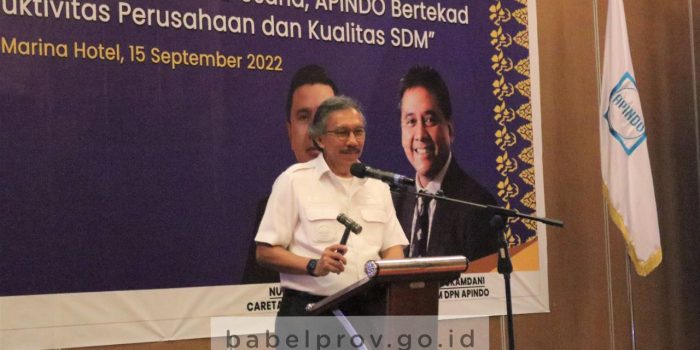 Melalui Musyawarah DPP APINDO Babel  Ridwan Djamaluddin Pj Gub Bangka Harap Terbangun Sinergi