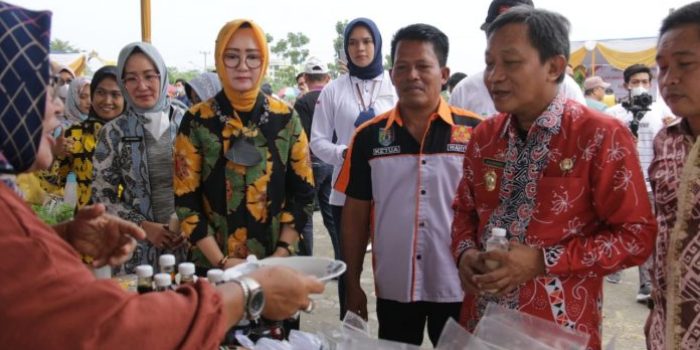 Asisten Bidang Prekonomian Lampung Menyampaikan UMKM Miliki Kontribusi yang Besar di Daerah Lampung 