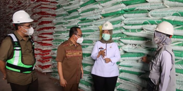 Lakukan Pengawasan Penyaluran Pupuk Bersubsidi dan Non Subsidi Wagub Lampung Kunjungi Pelabuhan Peti Kemas Panjang