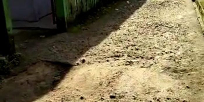 Warga Gadung Desak Iskandar Perbaiki Jalan Rusak