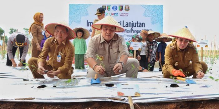 Gerakan Nasional Pengendalian Inflasi Pangan Arinal Djunaidi Gelar Tanam Cabai Secara Simbolis di Kabupaten Pesawaran 