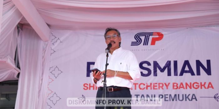 Adanya Shrimp Hatchery Bisa Penuhi Permintaan Pasar Benur Vaname