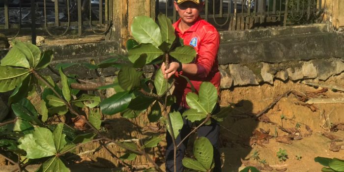 Mulkan Bupati Bangka Bersama Forkopimda Senam Bersama Sekaligus Jum’at Bersih
