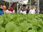 M. Subhan Camat Rangkui Harapkan Kegiatan TP. PKK Dapatkan Manfaat bagi Masyarakat
