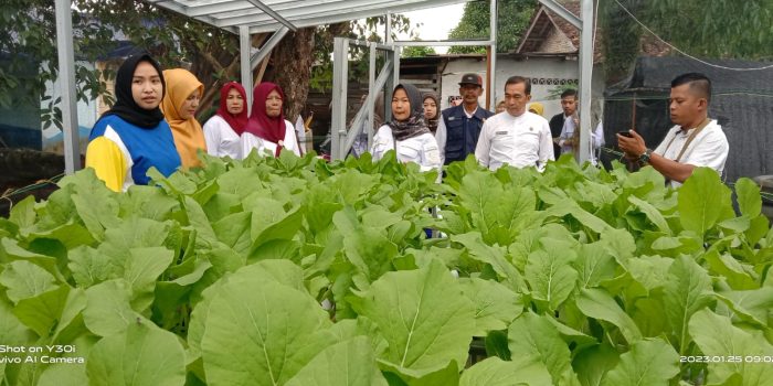 M. Subhan Camat Rangkui Harapkan Kegiatan TP. PKK Dapatkan Manfaat bagi Masyarakat