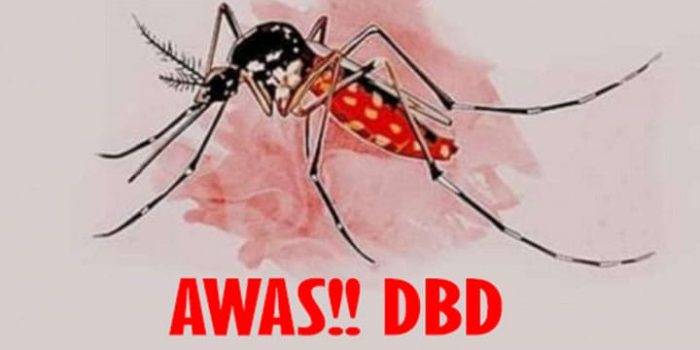 Sepanjang 2022, DKPPKB Basel Catat 111 Kasus DBD