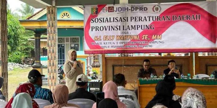 Elly Wahyuni Wakil Ketua I DPRD Prov Lampung Ajak Masyarakat Pahami Perda No 1 Tahun 2016