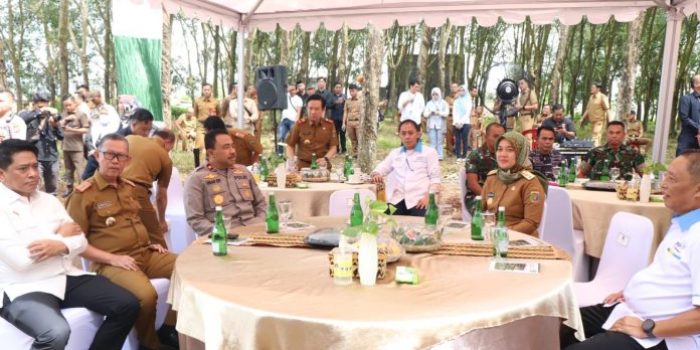 Wagub Lampung Chusnunia Chalim Kunker ke Lokasi Pembangunan Sport Center