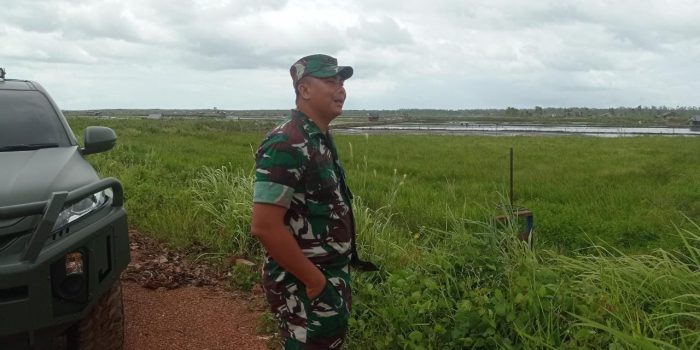 Sukseskan Program Ketahanan Pangan, Dandim 0432/Basel Kunjungi Lahan Sawah Desa Pergam