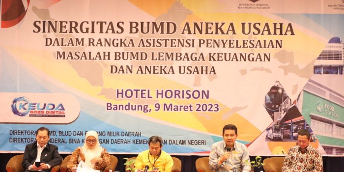Ditjen Bina Keuda Kemendagri Gelar Webinar Series ke-32, Tingkatkan Kinerja dan Sinergitas BUMD