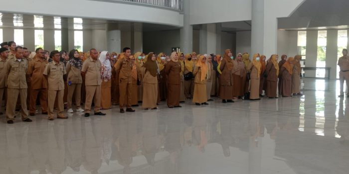 246 ASN di Bangka Selatan Dapatkan Penghargan Kenaikan Pangkat