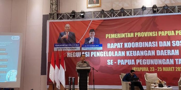 Kemendagri Dorong Papua Pegunungan Percepat Realisasi APBD dan Pastikan Pemerintahan Berjalan Efektif