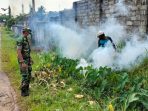 Cegah Penularan DBD, Babinsa Koramil 06/PBL Laksanakan Pendampingan Fogging