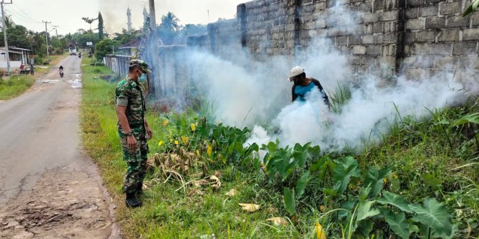 Cegah Penularan DBD, Babinsa Koramil 06/PBL Laksanakan Pendampingan Fogging