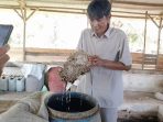 Penelitian Jamur Jakaba oleh Anjaseno, Menjadi Penomena Terbaru di Bangka Selatan