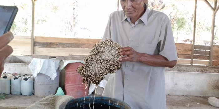 Penelitian Jamur Jakaba oleh Anjaseno, Menjadi Penomena Terbaru di Bangka Selatan