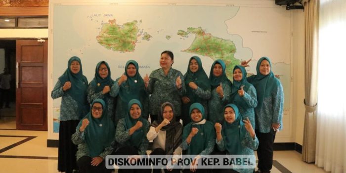 Rakor dengan TP PKK Kab/Kota, Maya Suganda Pasaribu: Perkuat Kolaborasi, TP PKK Jangan Kerja Sendiri