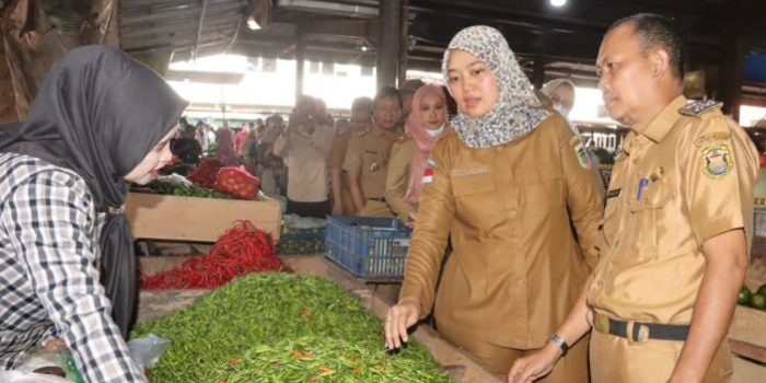 Jelang Hari Raya Idul Fitri 1444 H, Wagub Lampung Pantau Ketersedian Pangan dan Harga di Pasar Pasir Gintung