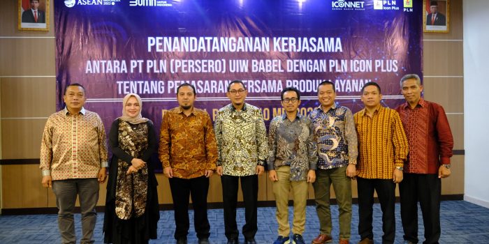 ICON Plus PLN Upgrade 100Gb melalui Backbone Kabel Listrik Sumatera – Bangka