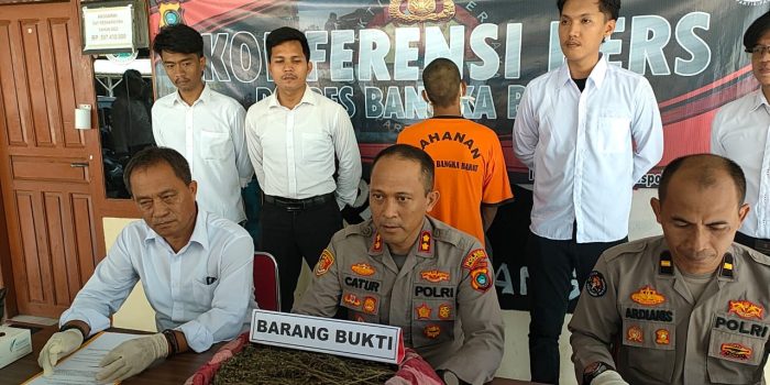 Tim Hantu Sat Narkoba Polres Babar Amankan 2 Kg Ganja, Kapolres: Barangnya Dikirim Lewat JNE