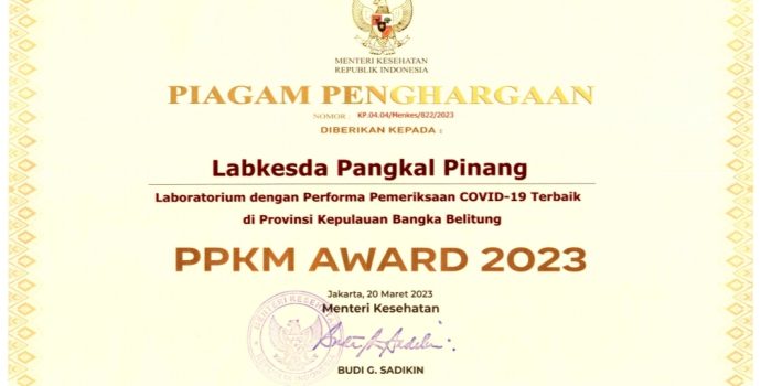 Tim Labkesda Pangkalpinang Raih Penghargaan, Kadinkes Apresiasi