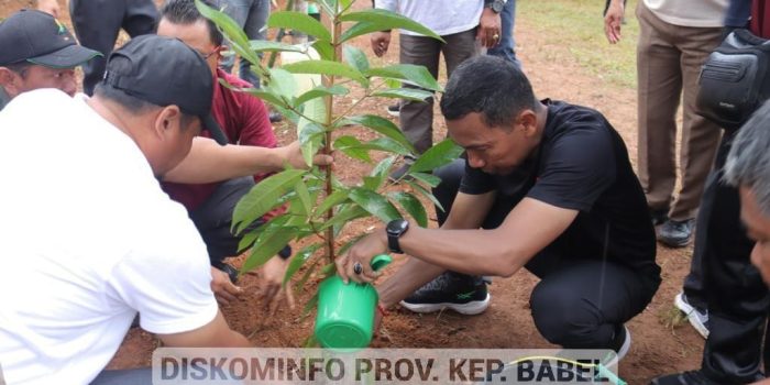 Melalui Gule Kabung, Pemprov Babel Serahkan 20 Ekor Sapi untuk Beltim 