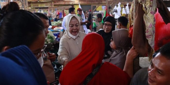 Wakil Ketua 1 DPRD Provinsi Lampung Elly Wahyuni Gelar kunjungan ke Pasar Gading Rejo