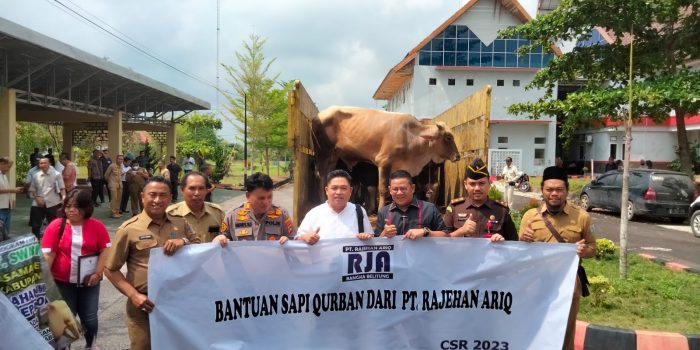 36 Perusahaan Mitra Pemerintah Salurkan Hewan Qurban ke Pamkab Bangka Selatan