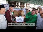 Pj Gubernur Suganda Serahkan Sapi Qurban Presiden RI Ke Warga Desa Kace