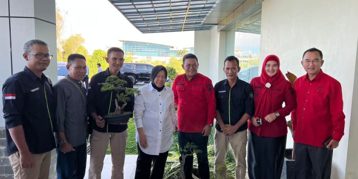 Mensos RI Terima Cendramata Bongsai Dari PPBI Bangka Selatan