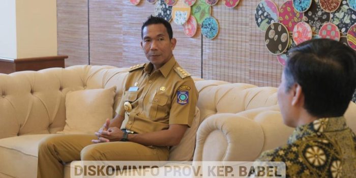 Pj Gubernur Suganda Audiensi dengan Kepala OJK Sumbagsel