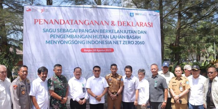Penanaman Sagu Jadi Solusi Pengolahan Lahan Bekas Tambang