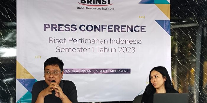 Hasil Riset BRINTS: Pemerintah Harus Evaluasi RKAB Smelter Timah