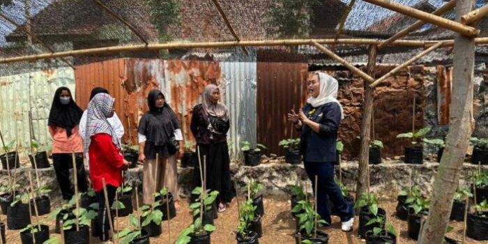 Siti Rahma Anggota DPRD Lampung  Gelar Reses Bersama Pengerak Petani Sayur-sayuran di Kota Metro