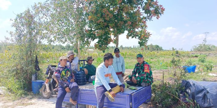 Jalin Komsos, Babinsa Ingatkan ke Petani Desa SJP Bahaya Karhutla di Musim Kemarau
