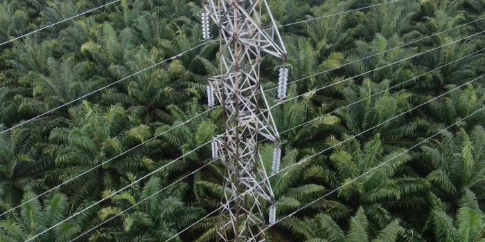 PLN Gerak Cepat Pulihkan Jaringan Transmisi SUTT di Pulau Belitung