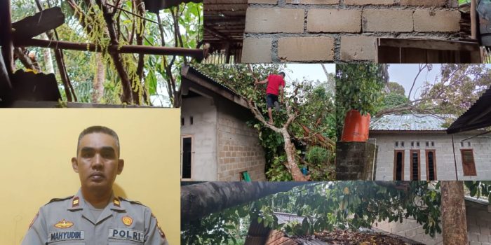 Polsek Kelapa Bantu Evaluasi Rumah Warga Yang Tekena Angin Kencang 