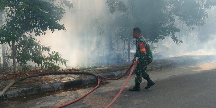 Berani dan Sigap, Babinsa Koramil 432-01/Toboali Bantu Padamkan Api di Lahan Perkantoran Pemkab Basel 