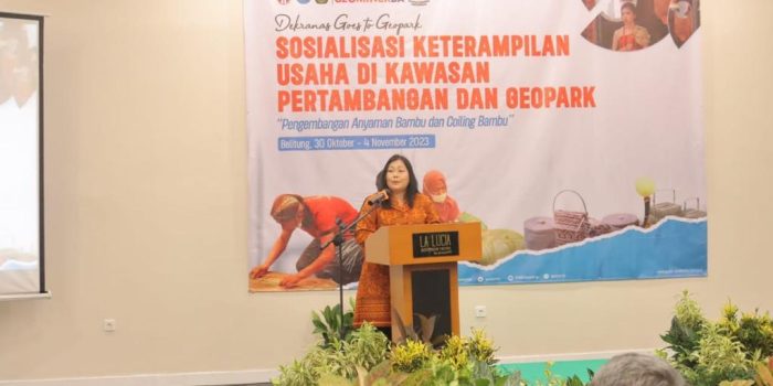 Dekranas dan PPSDM Geominerba Beri Pelatihan untuk Pelaku Usaha di Babel