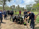 PWI Babel Penuhi Tantangan Pj. Gubernur Babel Safrizal ZA Menanam Satu Juta Pohon Kayu Putih