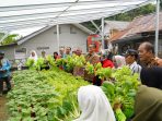 Kelompok Wanita Tani Kemuning Panen Sayuran, Pj Wali Kota Pangkalpinang : Usaha Untuk Mencegah Inflasi